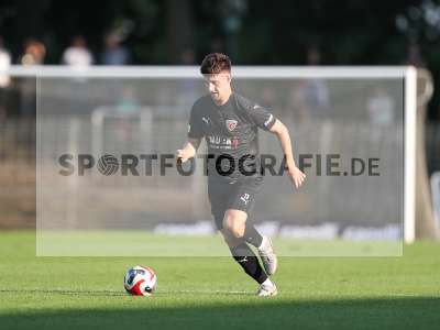 Fotos von 1. FC Schweinfurt 1905 - TSV Buchbach auf sportfotografie.de