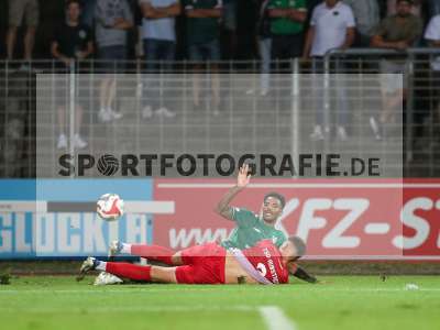 Fotos von 1. FC Schweinfurt 1905 - TSV Aubstadt auf sportfotografie.de