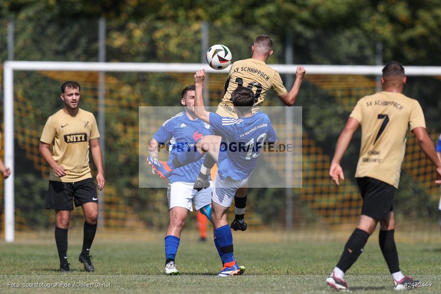 Sportgelände, Schaippach, 01.09.2024, sport, action, BFV, Fussball, 5. Spieltag, A-Klasse Würzburg Gr. 5, FV Wernfeld/Adelsberg, SV Schaippach - Bild-ID: 2432449