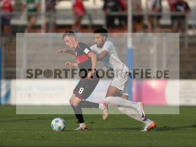 Bild-ID: 2432002
