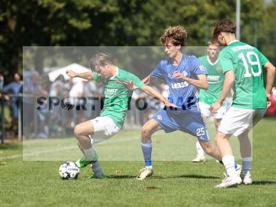 Fotos von SV Viktoria Aschaffenburg - 1. FC Schweinfurt 1905 auf sportfotografie.de