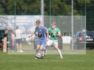 Fotos von SV Viktoria Aschaffenburg - 1. FC Schweinfurt 1905 auf sportfotografie.de