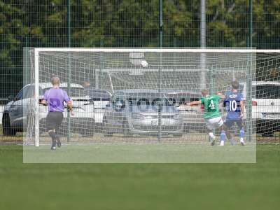 Fotos von SV Viktoria Aschaffenburg - 1. FC Schweinfurt 1905 auf sportfotografie.de