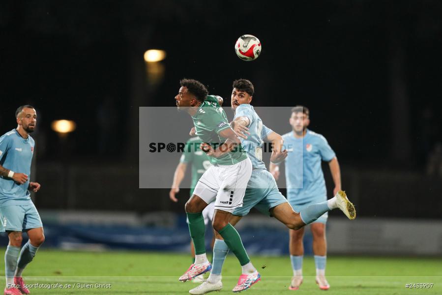 Sachs Stadion, Schweinfurt, 06.09.2024, sport, action, BFV, Fussball, 8. Spieltag, Regionalliga Bayern, TGM, FCS, Türkgücü München, 1. FC Schweinfurt 1905, Team - Bild-ID: 2433907