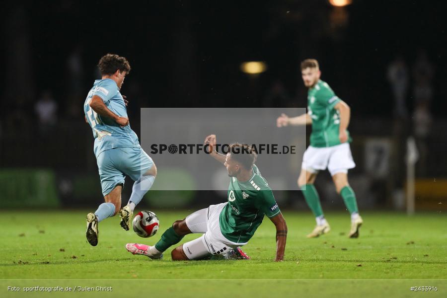 Sachs Stadion, Schweinfurt, 06.09.2024, sport, action, BFV, Fussball, 8. Spieltag, Regionalliga Bayern, TGM, FCS, Türkgücü München, 1. FC Schweinfurt 1905, Team - Bild-ID: 2433916