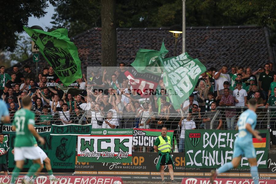 Sachs Stadion, Schweinfurt, 06.09.2024, sport, action, BFV, Fussball, 8. Spieltag, Regionalliga Bayern, TGM, FCS, Türkgücü München, 1. FC Schweinfurt 1905, Team - Bild-ID: 2433968