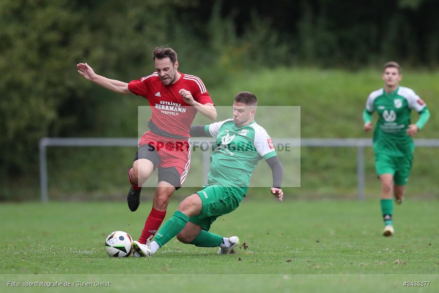Sportgelände, Thüngersheim, 11.09.2024, sport, action, BFV, Fussball, 8. Spieltag, Kreisliga Würzburg Gr. 2, FVSHR, FVT, FV Steinfeld/Hausen-Rohrbach, FV Thüngersheim - Bild-ID: 2435277