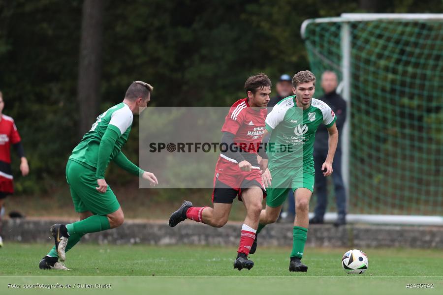 Sportgelände, Thüngersheim, 11.09.2024, sport, action, BFV, Fussball, 8. Spieltag, Kreisliga Würzburg Gr. 2, FVSHR, FVT, FV Steinfeld/Hausen-Rohrbach, FV Thüngersheim - Bild-ID: 2435342