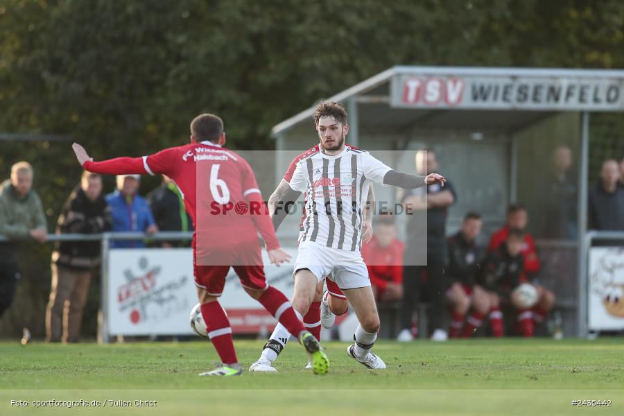 Sportgelände, Wiesenfeld, 12.09.2024, sport, action, BFV, Fussball, 8. Spieltag, Kreisklasse Würzburg Gr. 3, SVSS, FCWH, SV Sendelbach-Steinbach, FC Wiesenfeld-Halsbach - Bild-ID: 2435442