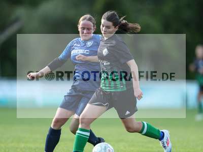 Bild-ID: 2436085