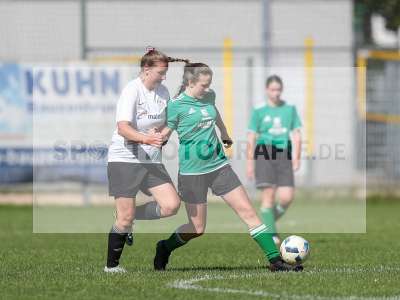 Bild-ID: 2436163