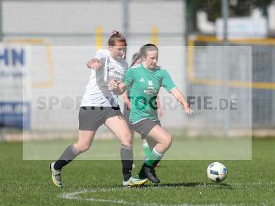 Bild-ID: 2436164