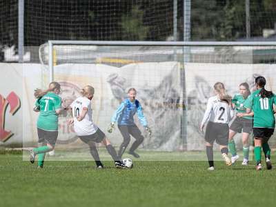 Bild-ID: 2436177