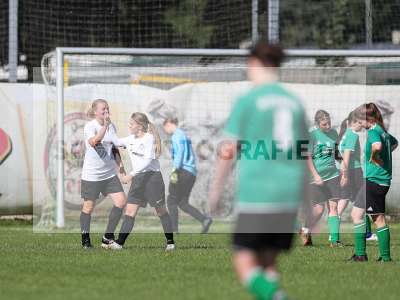 Bild-ID: 2436178