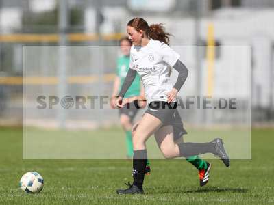Bild-ID: 2436186