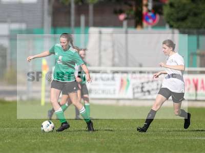 Bild-ID: 2436192