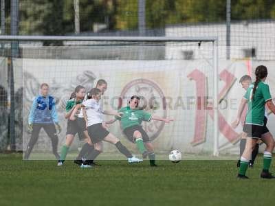 Bild-ID: 2436204