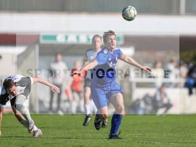 Bild-ID: 2436603