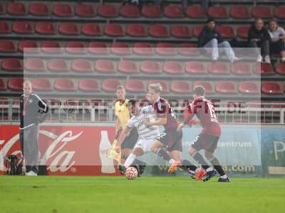 Bild-ID: 2436904