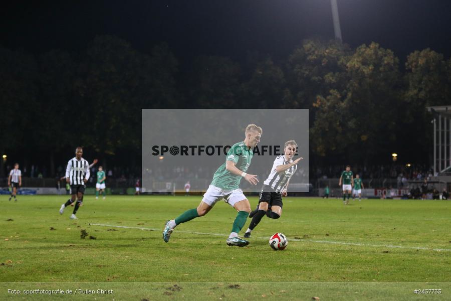 Willy-Sachs-Stadion, Schweinfurt, 20.09.2024, sport, action, BFV, Fussball, Regionalliga Bayern, 10. Spieltag, SVW, FCS, SV Wacker Burghausen, 1. FC Schweinfurt 1905 - Bild-ID: 2437733