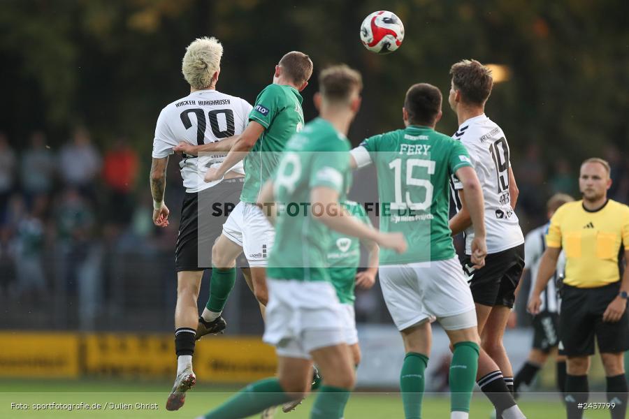 Willy-Sachs-Stadion, Schweinfurt, 20.09.2024, sport, action, BFV, Fussball, Regionalliga Bayern, 10. Spieltag, SVW, FCS, SV Wacker Burghausen, 1. FC Schweinfurt 1905 - Bild-ID: 2437799 Willy-Sachs-Stadion, Schweinfurt, 20.09.2024, sport, action, BFV, Fussball, Regionalliga Bayern, 10. Spieltag, SVW, FCS, SV Wacker Burghausen, 1. FC Schweinfurt 1905 - Bild-ID: 2437799