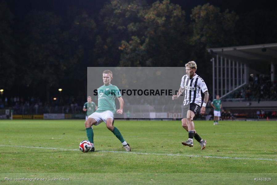 Willy-Sachs-Stadion, Schweinfurt, 20.09.2024, sport, action, BFV, Fussball, Regionalliga Bayern, 10. Spieltag, SVW, FCS, SV Wacker Burghausen, 1. FC Schweinfurt 1905 - Bild-ID: 2437829