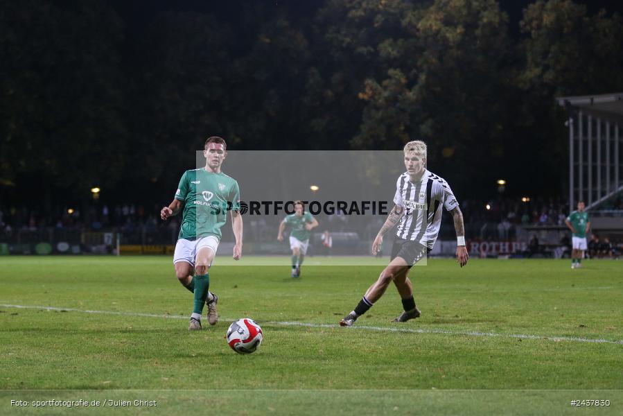 Willy-Sachs-Stadion, Schweinfurt, 20.09.2024, sport, action, BFV, Fussball, Regionalliga Bayern, 10. Spieltag, SVW, FCS, SV Wacker Burghausen, 1. FC Schweinfurt 1905 - Bild-ID: 2437830