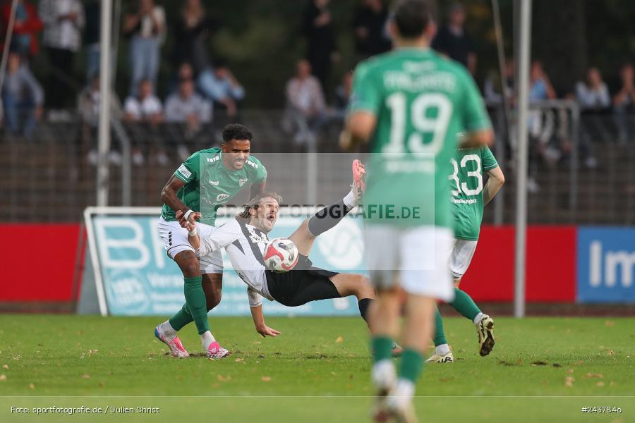 Willy-Sachs-Stadion, Schweinfurt, 20.09.2024, sport, action, BFV, Fussball, Regionalliga Bayern, 10. Spieltag, SVW, FCS, SV Wacker Burghausen, 1. FC Schweinfurt 1905 - Bild-ID: 2437846