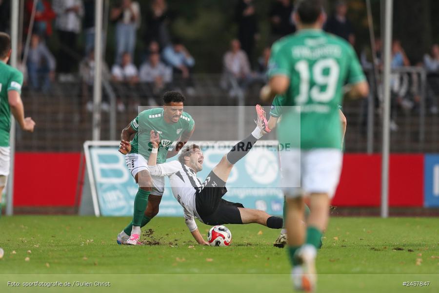 Willy-Sachs-Stadion, Schweinfurt, 20.09.2024, sport, action, BFV, Fussball, Regionalliga Bayern, 10. Spieltag, SVW, FCS, SV Wacker Burghausen, 1. FC Schweinfurt 1905 - Bild-ID: 2437847