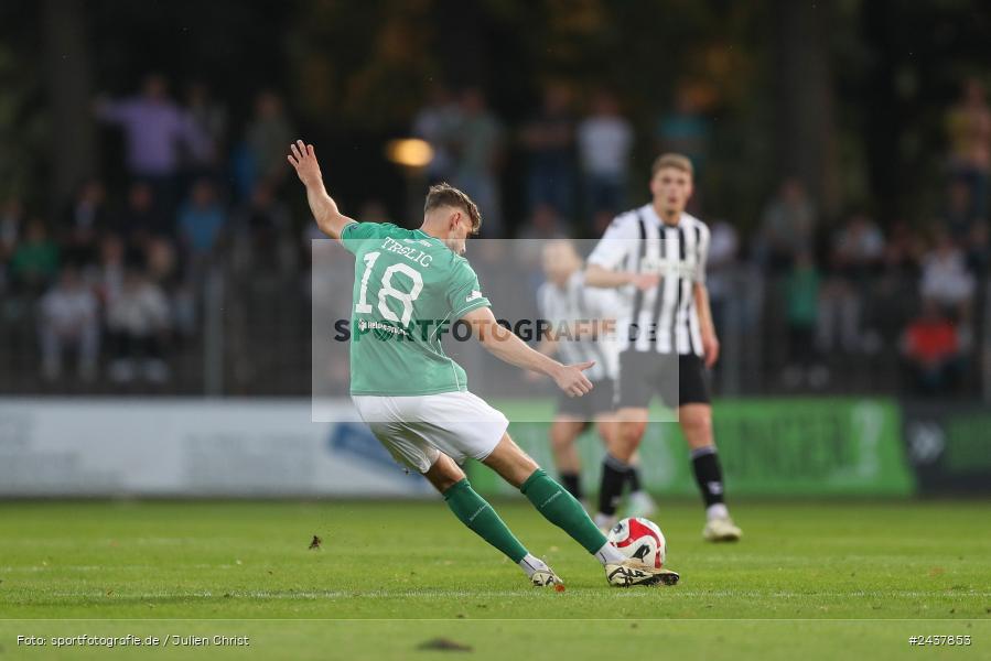 Willy-Sachs-Stadion, Schweinfurt, 20.09.2024, sport, action, BFV, Fussball, Regionalliga Bayern, 10. Spieltag, SVW, FCS, SV Wacker Burghausen, 1. FC Schweinfurt 1905 - Bild-ID: 2437853