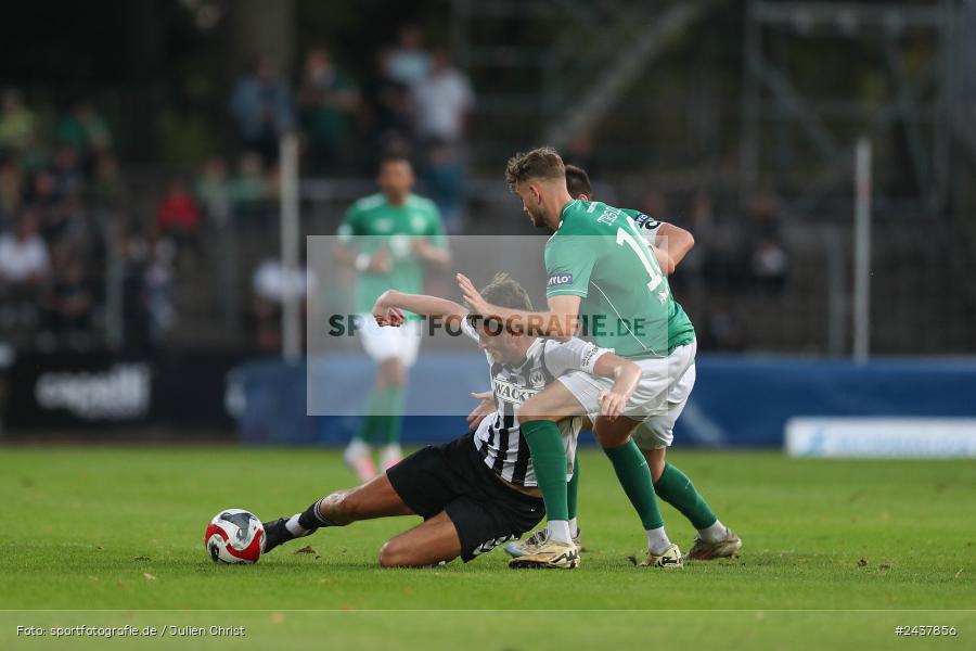 Willy-Sachs-Stadion, Schweinfurt, 20.09.2024, sport, action, BFV, Fussball, Regionalliga Bayern, 10. Spieltag, SVW, FCS, SV Wacker Burghausen, 1. FC Schweinfurt 1905 - Bild-ID: 2437856