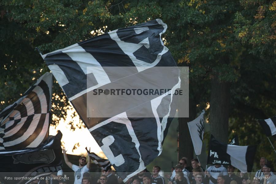 Willy-Sachs-Stadion, Schweinfurt, 20.09.2024, sport, action, BFV, Fussball, Regionalliga Bayern, 10. Spieltag, SVW, FCS, SV Wacker Burghausen, 1. FC Schweinfurt 1905 - Bild-ID: 2437867