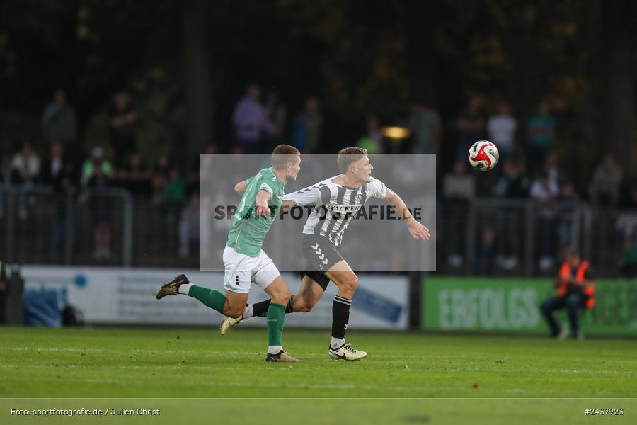 Willy-Sachs-Stadion, Schweinfurt, 20.09.2024, sport, action, BFV, Fussball, Regionalliga Bayern, 10. Spieltag, SVW, FCS, SV Wacker Burghausen, 1. FC Schweinfurt 1905 - Bild-ID: 2437923