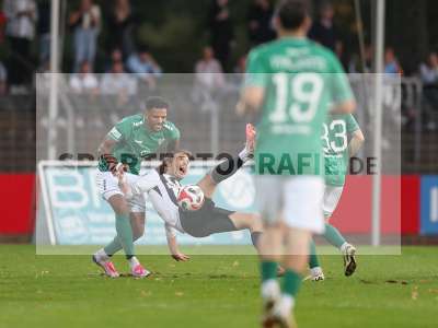 Bild-ID: 2437846