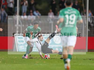 Bild-ID: 2437847