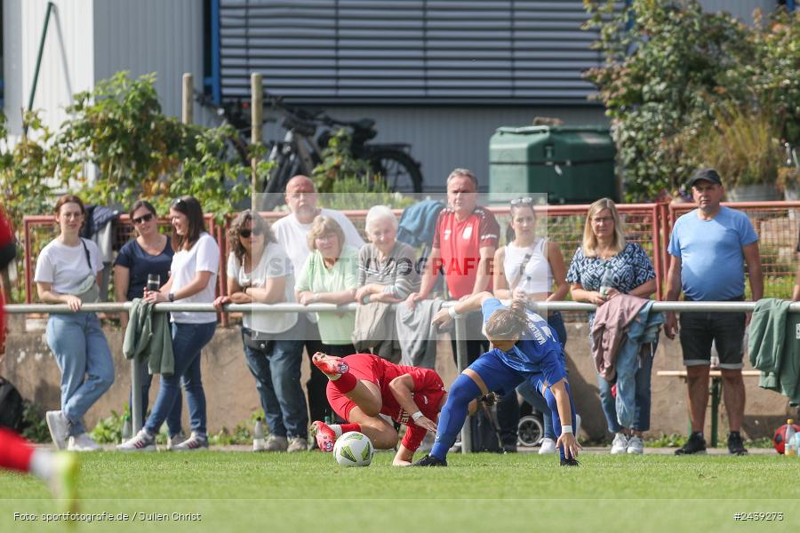 Sportgelände, Reicholzheim, 22.09.2024, sport, action, Fussball, badfv, 3. Spieltag, bfv-Verbandsliga, KSC, FCWH, Karlsruher SC II, FC Wertheim-Eichel - Bild-ID: 2439273