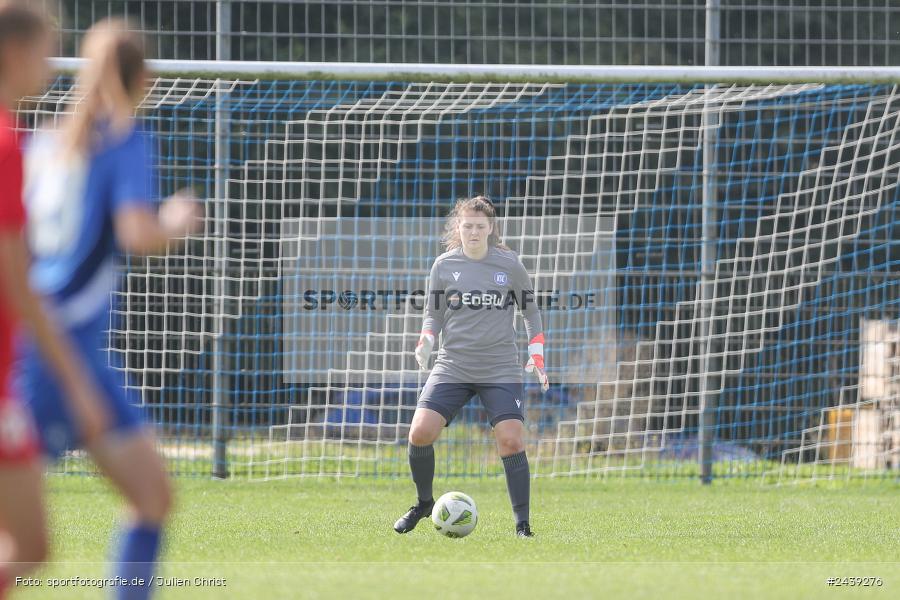 Sportgelände, Reicholzheim, 22.09.2024, sport, action, Fussball, badfv, 3. Spieltag, bfv-Verbandsliga, KSC, FCWH, Karlsruher SC II, FC Wertheim-Eichel - Bild-ID: 2439276