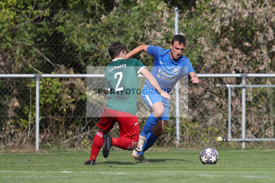 Sportgelände, Homburg, 22.09.2024, sport, action, BFV, Fussball, Kreisliga Würzburg Gr. 2, 10. Spieltag, FSV, HOM, FSV Esselbach-Steinmark, TSV Homburg - Bild-ID: 2439368