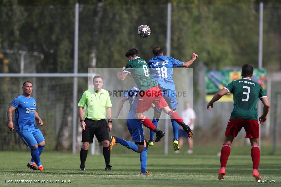 Sportgelände, Homburg, 22.09.2024, sport, action, BFV, Fussball, Kreisliga Würzburg Gr. 2, 10. Spieltag, FSV, HOM, FSV Esselbach-Steinmark, TSV Homburg - Bild-ID: 2439375