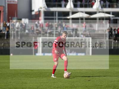 Bild-ID: 2440805