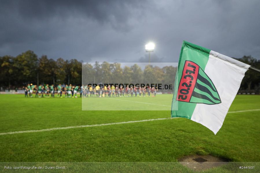 Willy-Sachs-Stadion, Schweinfurt, 02.10.2024, sport, action, Fussball, BFV, 11. Spieltag, Regionalliga Bayern, FCN, FCS, 1. FC Nürnberg II, 1. FC Schweinfurt 1905 - Bild-ID: 2441631