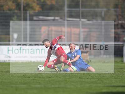 Bild-ID: 2441310