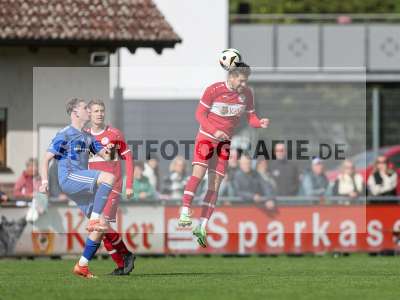 Bild-ID: 2441492