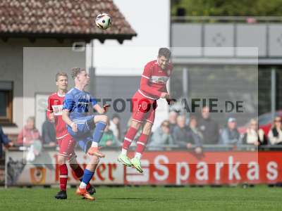 Bild-ID: 2441493