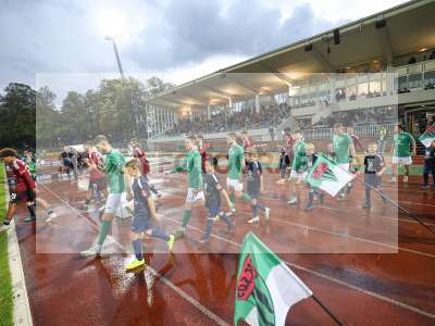 Bild-ID: 2441618