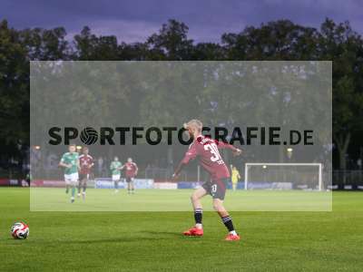 Bild-ID: 2441635