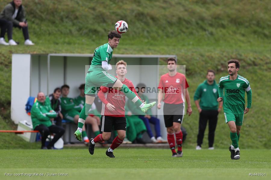 Sportgelände, Birkenfeld, 03.10.2024, sport, action, Fussball, BFV, 12. Spieltag, Bezirksliga Unterfranken West, SVK, SVB, SV Kürnach, SV Birkenfeld - Bild-ID: 2442301
