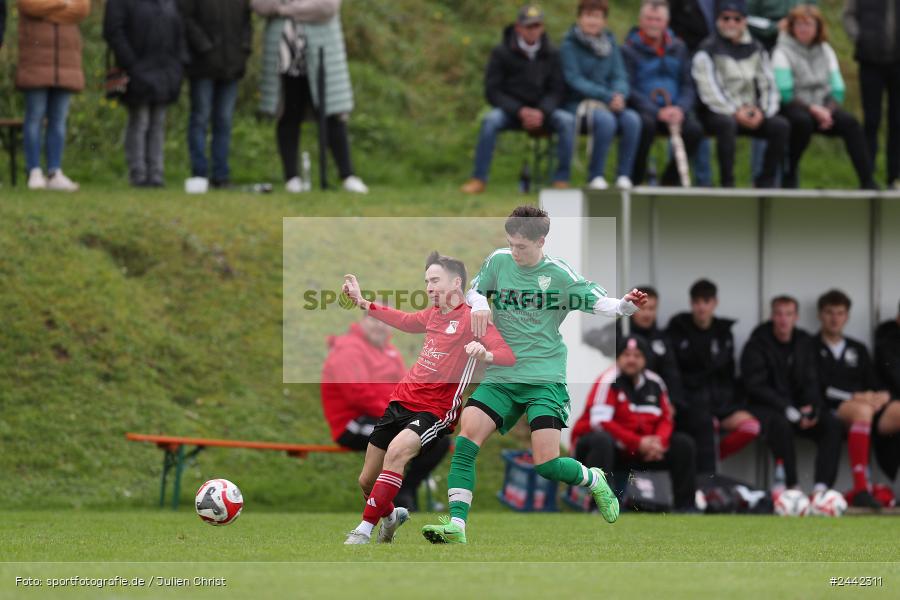 Sportgelände, Birkenfeld, 03.10.2024, sport, action, Fussball, BFV, 12. Spieltag, Bezirksliga Unterfranken West, SVK, SVB, SV Kürnach, SV Birkenfeld - Bild-ID: 2442311