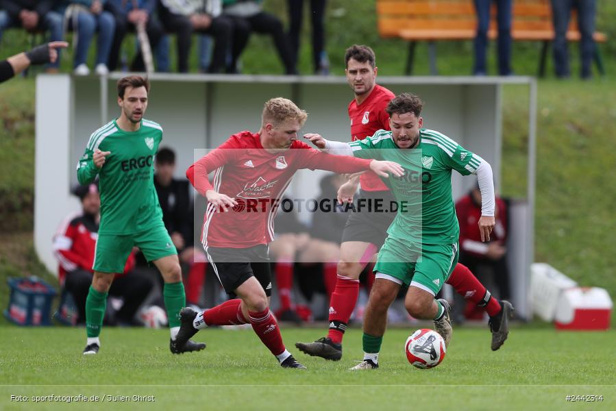 Sportgelände, Birkenfeld, 03.10.2024, sport, action, Fussball, BFV, 12. Spieltag, Bezirksliga Unterfranken West, SVK, SVB, SV Kürnach, SV Birkenfeld - Bild-ID: 2442314