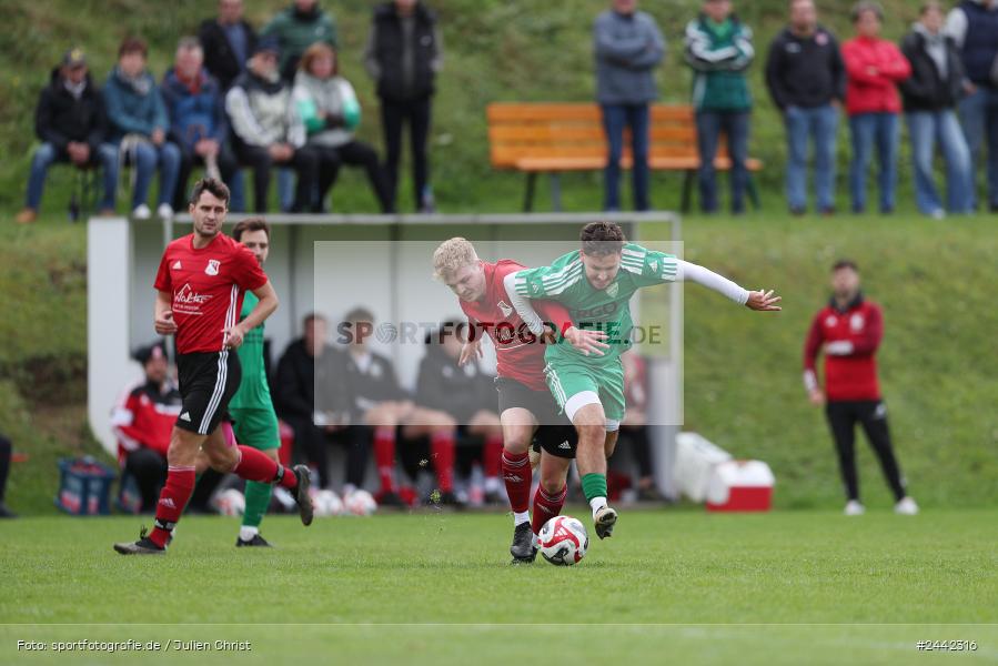 Sportgelände, Birkenfeld, 03.10.2024, sport, action, Fussball, BFV, 12. Spieltag, Bezirksliga Unterfranken West, SVK, SVB, SV Kürnach, SV Birkenfeld - Bild-ID: 2442316